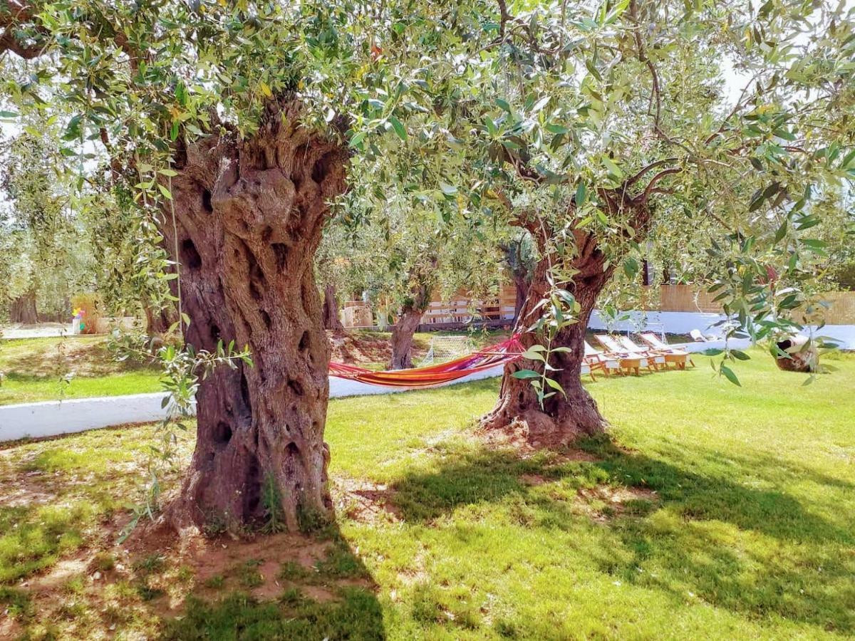Villa Vista Al Mar Skála Kallirákhis 外观 照片